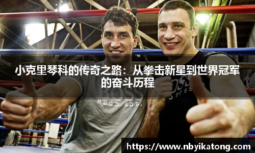 小克里琴科的传奇之路：从拳击新星到世界冠军的奋斗历程